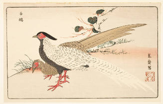 Modern Reproduction of: Silver Pheasants