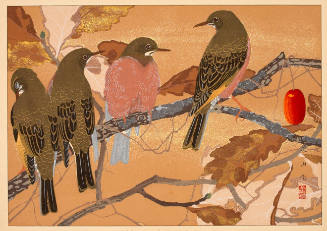 Birds on Oak Tree