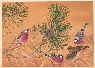 Small Pine and Sparrows
