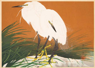 Grasses and White Heron