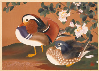 Camellia and Mandarin Ducks