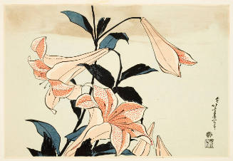 Modern Reproduction of: Pink Lillies