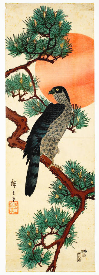 Hawk, Pine and Rising Sun  (descriptive title)