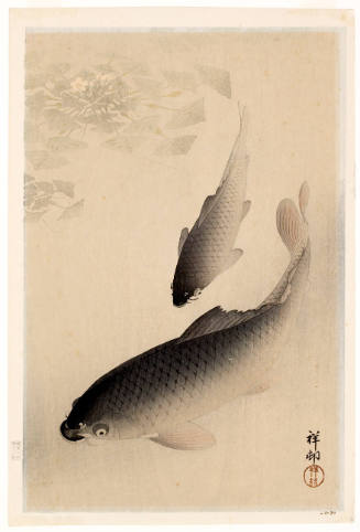 Two Carp and Blooming Water Plants