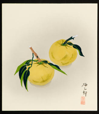 Two Citrons