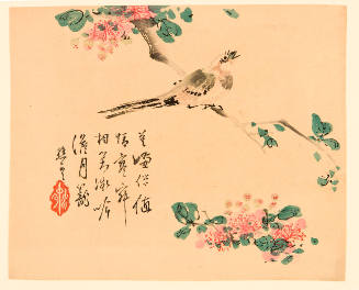Song Bird and Cherry Blossoms