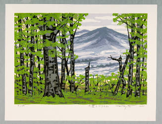 Gentle Breeze through Beech Trees on a Mountain