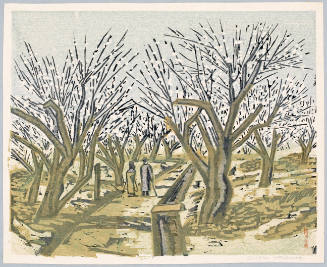 Two People On A Walk Through A Plum Orchard