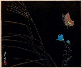 Butterfly and Blue Flower