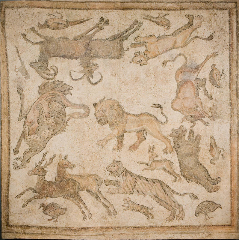 Animals Hunting