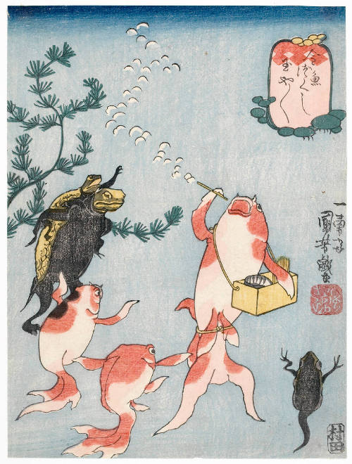 An Assortment of Goldfish: Enjoying the Summer Festival