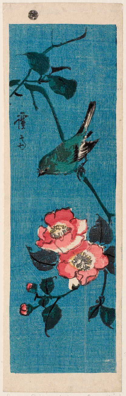 Bird and Flower