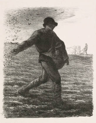 The Sower