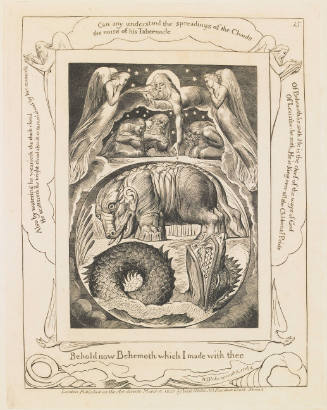 Behemoth and Leviathan, plate 15