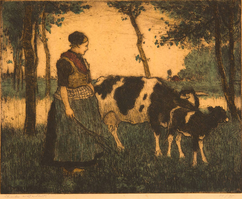 Dutch Woman Driving Cow and Calf