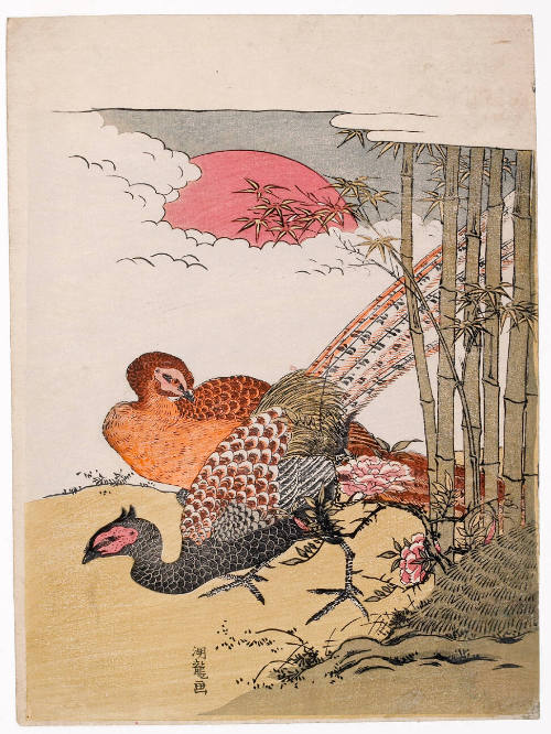 Two Pheasants, Bamboo & Red Sun