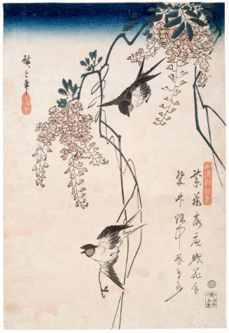 Swallows and Wisteria