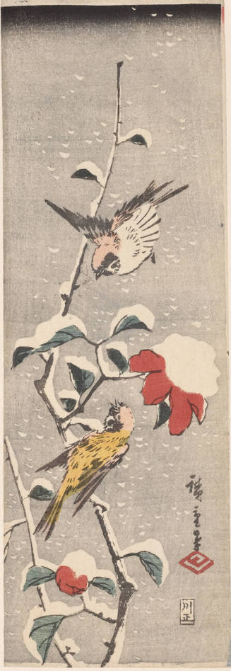 Sparrows and Camellia in Snow