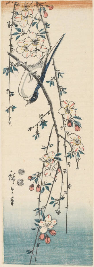 Blue Bird on Cherry Blossom Branch  (Descriptive Title)