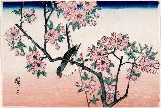 Sparrow and Cherry Blossoms