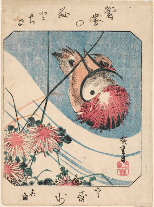 Two Mandarin Ducks and Chrysanthemums  (Descriptive Title)