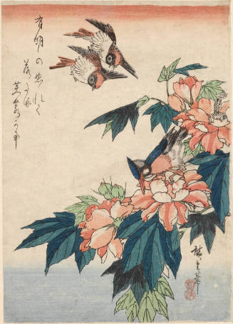 Sparrows and Hibiscus