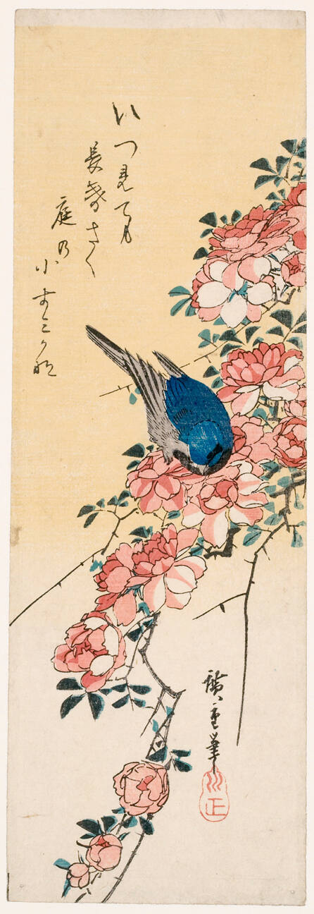 Bluebird and Roses