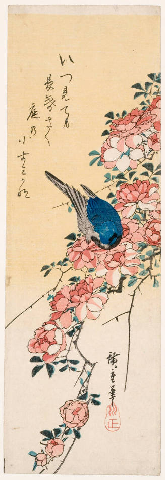 Bluebird and Roses