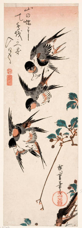 Five Swallows in Flight above a Branch of Cherry (the blossoms having gone to seed)