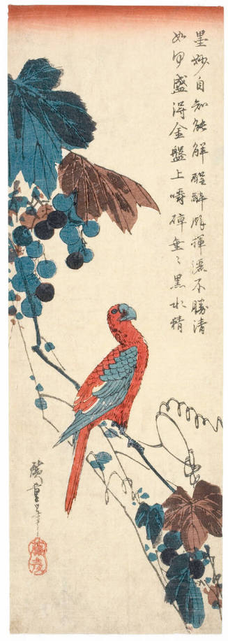 Parrot on a Grapevine