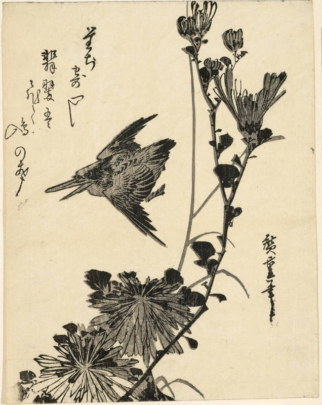 Kingfisher and Chrysanthemum  (Descriptive Title)