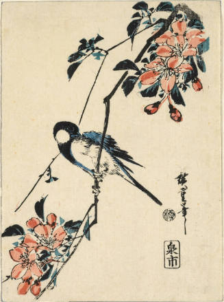 blue bird on cherry blossoms
