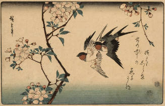 Swallows and Cherry Blossoms