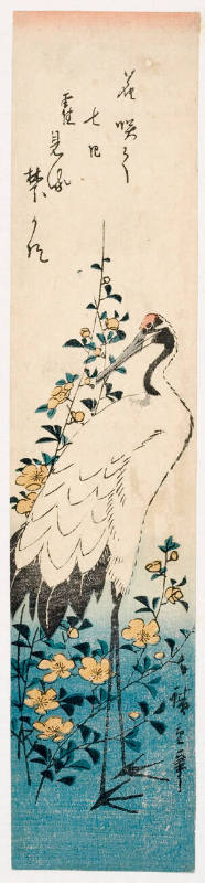 Red-Headed Crane and Yellow Flowers