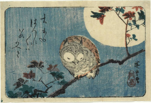 Owl on Maple Branch with Full Moon (descriptive title)