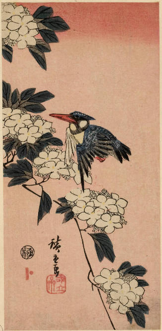 Kingfisher and White Flowers  (Descriptive Title)