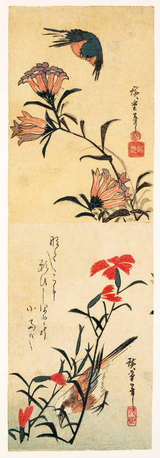 Upper print: Greenfinch and Flowers; Lower print: Robin and Dianthus (Pinks)