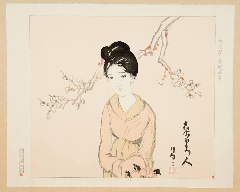 Beauty and Plum Blossom