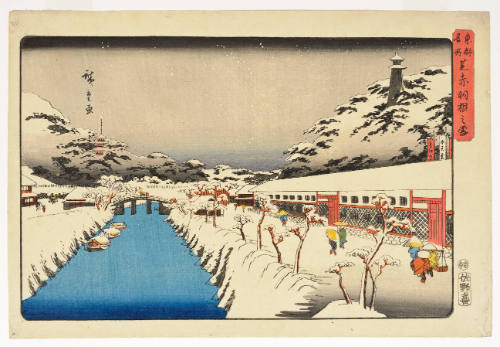 Shiba Akabane in Snow