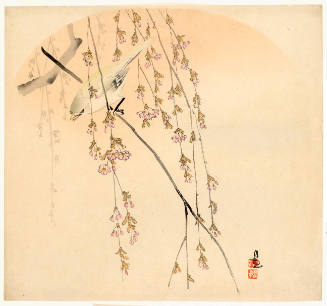 Bird and Cherry Blossoms (Descriptive title)