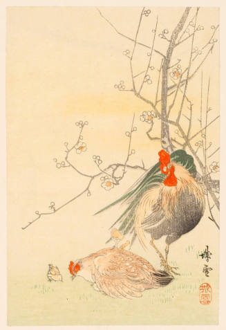 Rooster, Hen and Chick