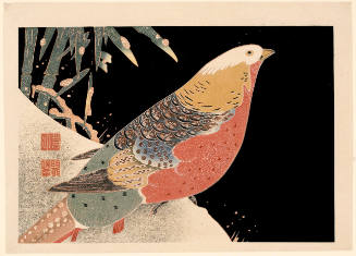 Modern Reproduction of: Golden Pheasant and Bamboo in Snow
