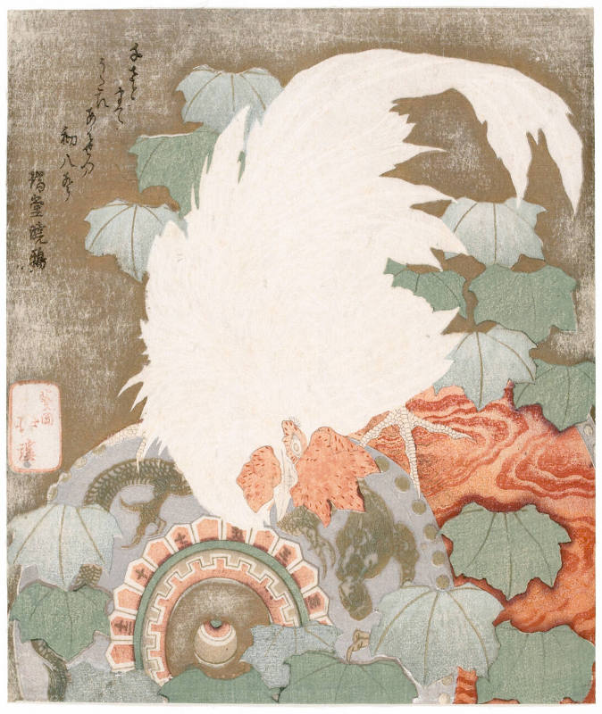 Rooster on Drum