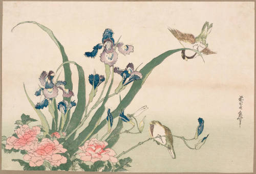 Iris, Peonies, Sparrows, and Dragonfly