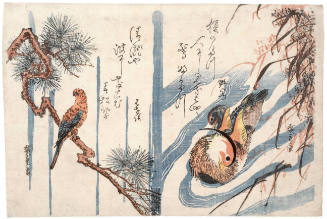 Parrot on a Pine Branch / Mandarin Ducks in a Stream