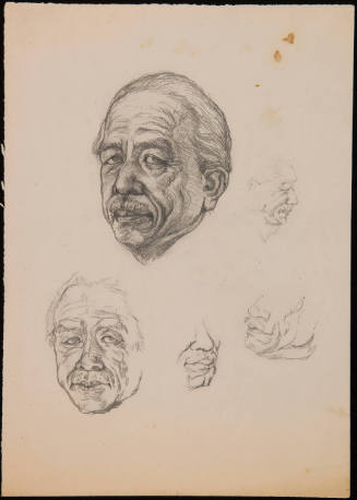 Pencil Studies of Mr. Fujikake Shizuya