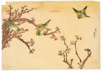 Plum Blossoms