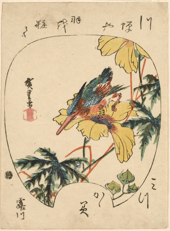 Kingfisher and Yellow Hibiscus (Descriptive Title)