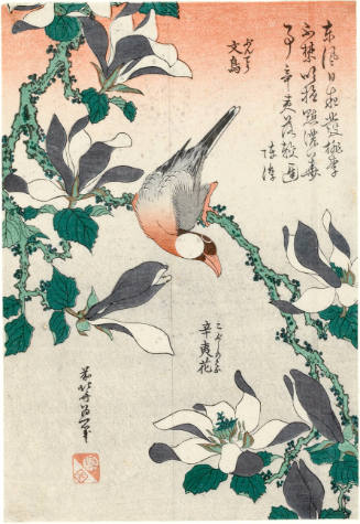 Modern Reproduction of: Java Sparrow and Magnolia
