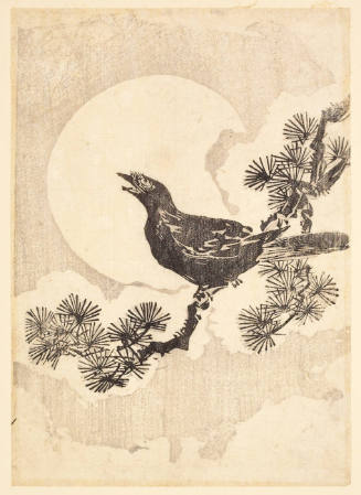 Cuckoo, Moon and Pine Branch
